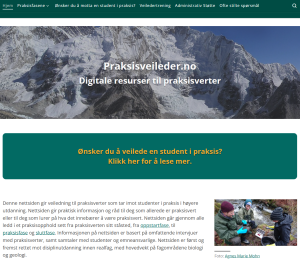 screenshot of the frontpage of the website praksisveileder.no showing the name "praksisveileder.no" on top of a photo of mountains with snow. The text in Norwegian "Ønsker du å motta en student i praksis?" is written in orange on a green rectangle, and the introduction text to the website is visible.